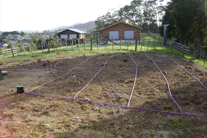 Installation of Dripper Lines